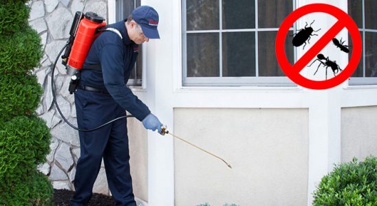 İyidere Bit İlaçlama böcek ilaçlama ve haşere kontrolü — ilaclama-tr.com